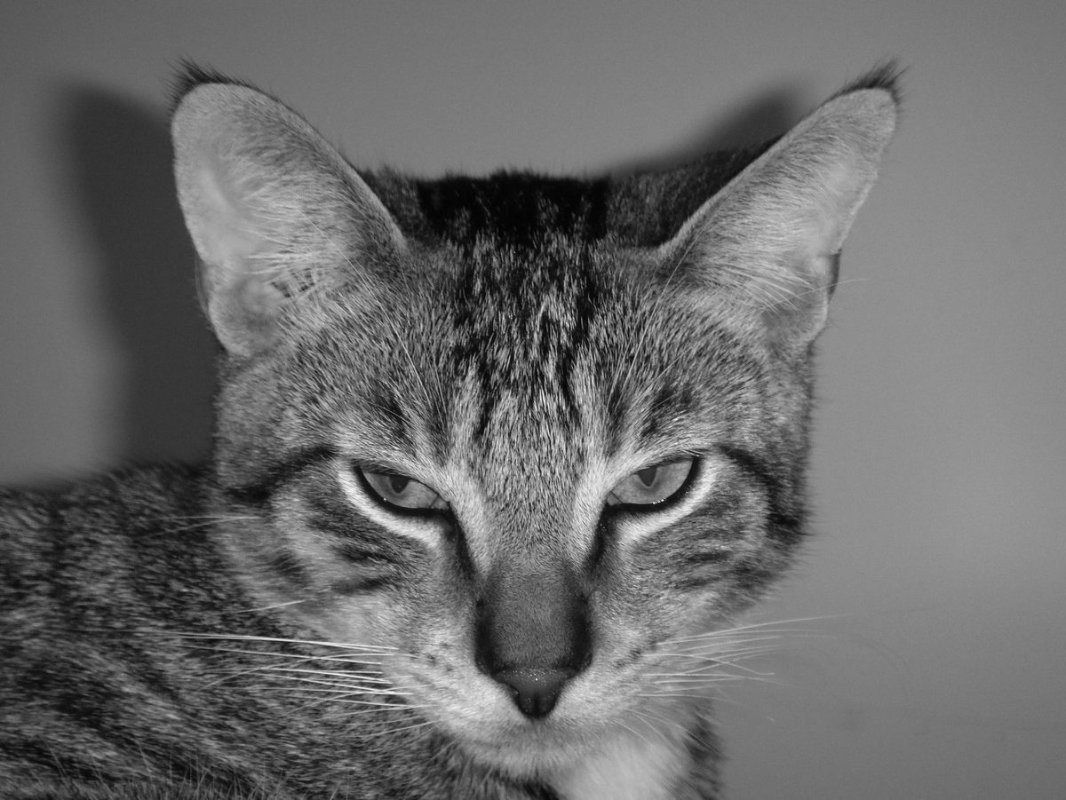 my rock(y) 🪨 💕