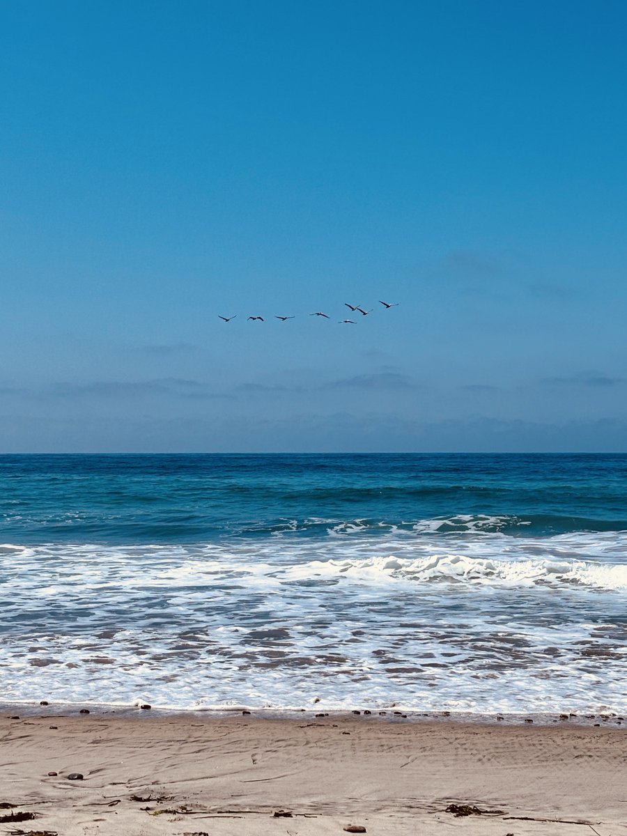 GPS_UCSD's tweet image. 🏖️☀️ Campus is closed on Monday, September 1. Regular operations will resume on Tuesday, September 2. #LaborDayWeekendVibes
