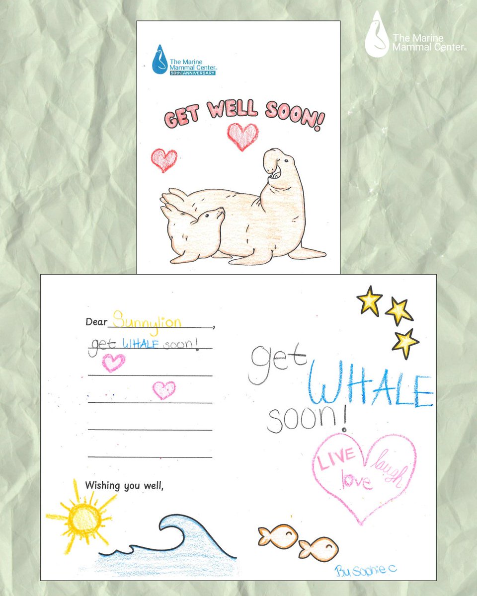 Our new letter-writing station gives visitors the option to write well-wishes to one of our current patients 💕 Check out this note for California sea lion patient Sunnylion 🔆 Reserve your free tickets to visit today bit.ly/3scar7M to send a note to a sick sea lion🥹