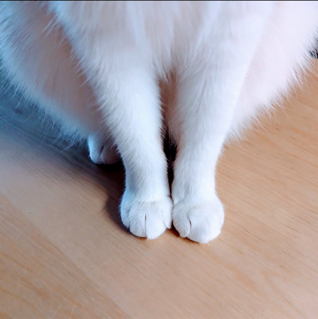 <a href="/mimisaki310/">☆みさき☆ 4430mp</a> <a href="/sachi0037/">sachi👓🪽</a> にゃฅ*•ω•*ฅ♡
(こんな画像を貼っときます😆)