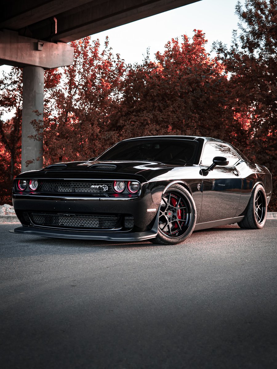 Mopar Chakmol🩵 (@moparchakmol) on Twitter photo 