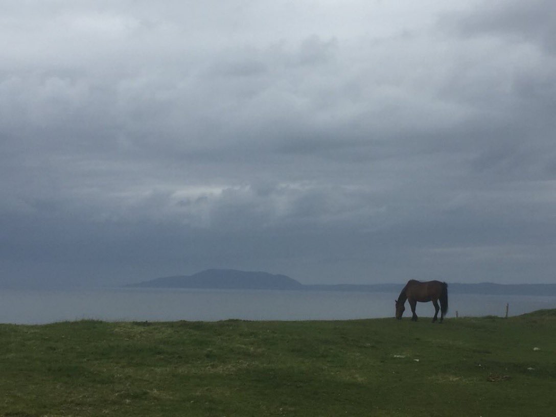 hope dies

when it does

not in ceremonies

or on a stage

but in corners

and in moments

no ululation

and no rage

hope slips quietly away

like a lost scarf

an odd sock

or a forgotten name

hope dies

and we still live

but nothing ever is the same