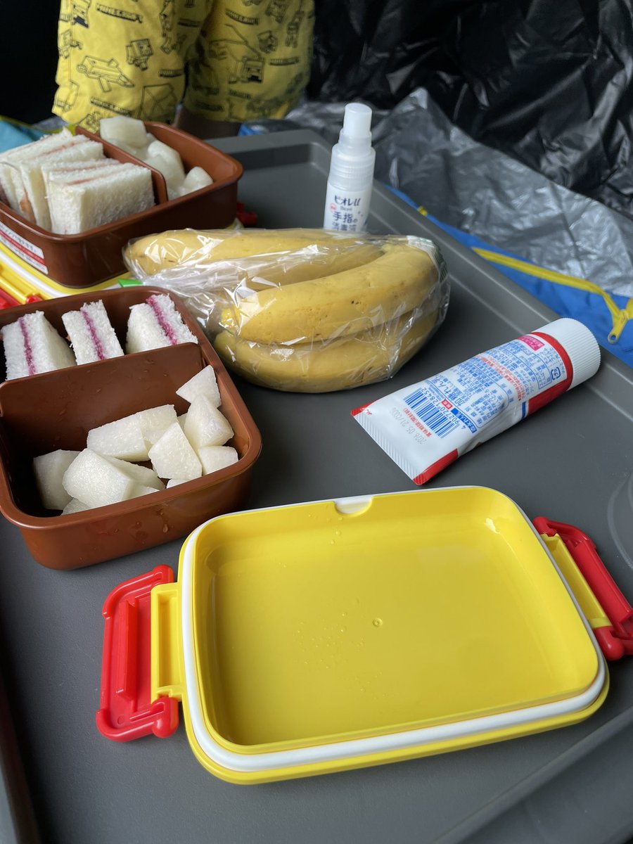 朝ピクニックなう。
今日は内見、病児保育登録、ピアノ教室！

お弁当の中はジャムサンドと梨だけの英国スタイルですw
