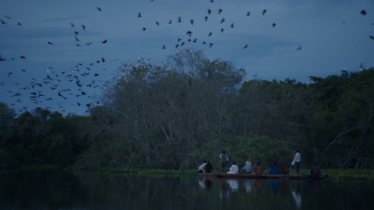 Paula Gaitán. (@paulagaitn1) on Twitter photo 