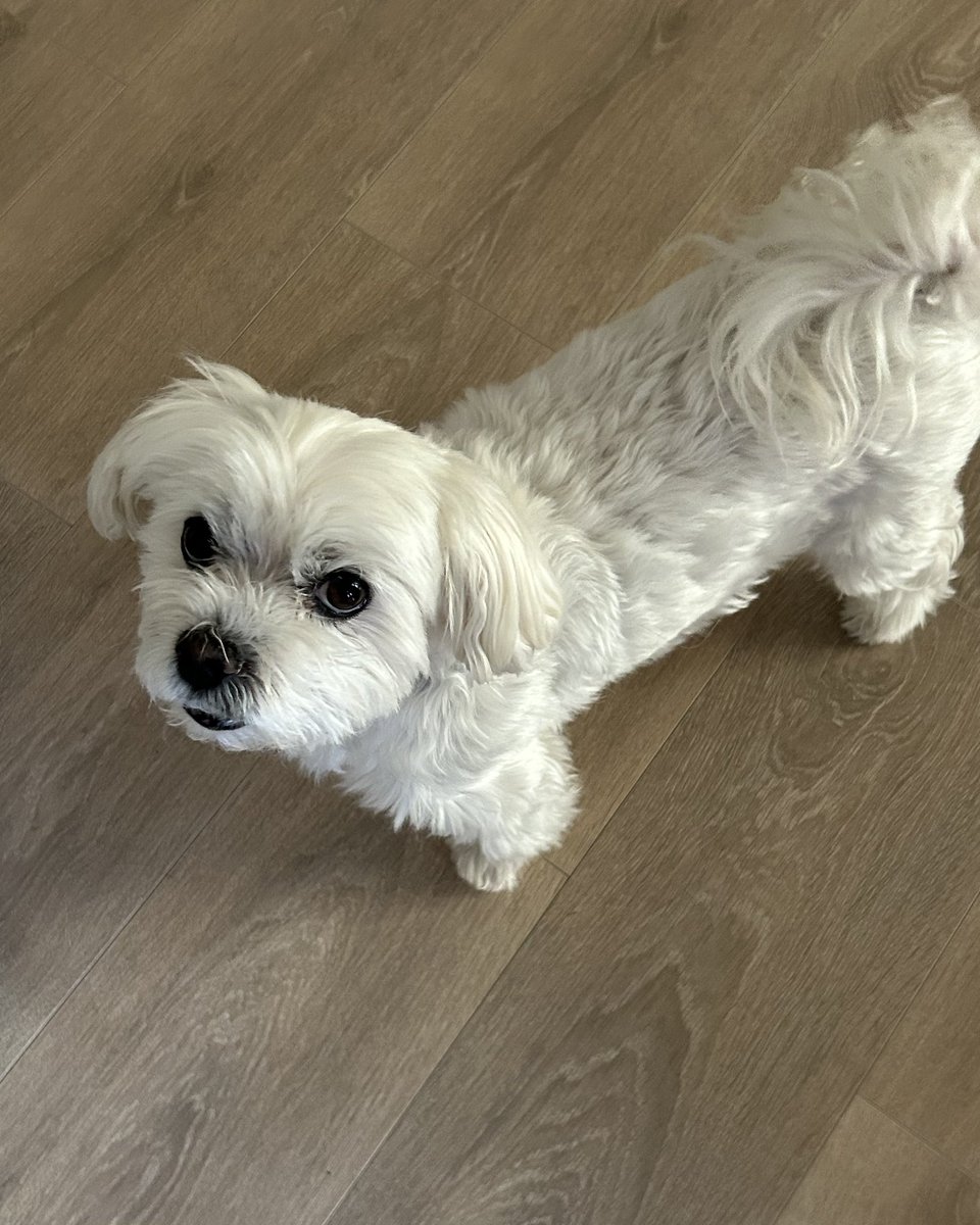 EmedeMaggie's tweet image. 