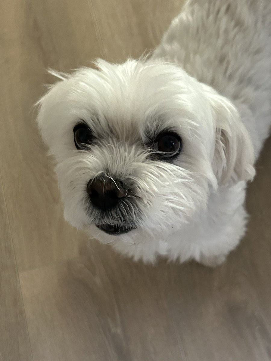 EmedeMaggie's tweet image. 