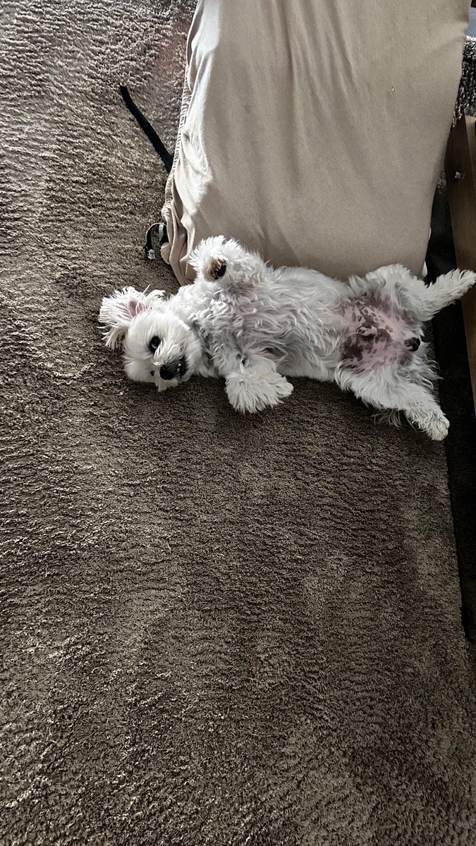 EmedeMaggie's tweet image. 