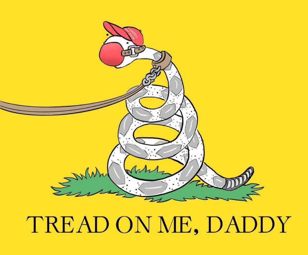 The Mo House Republicans: