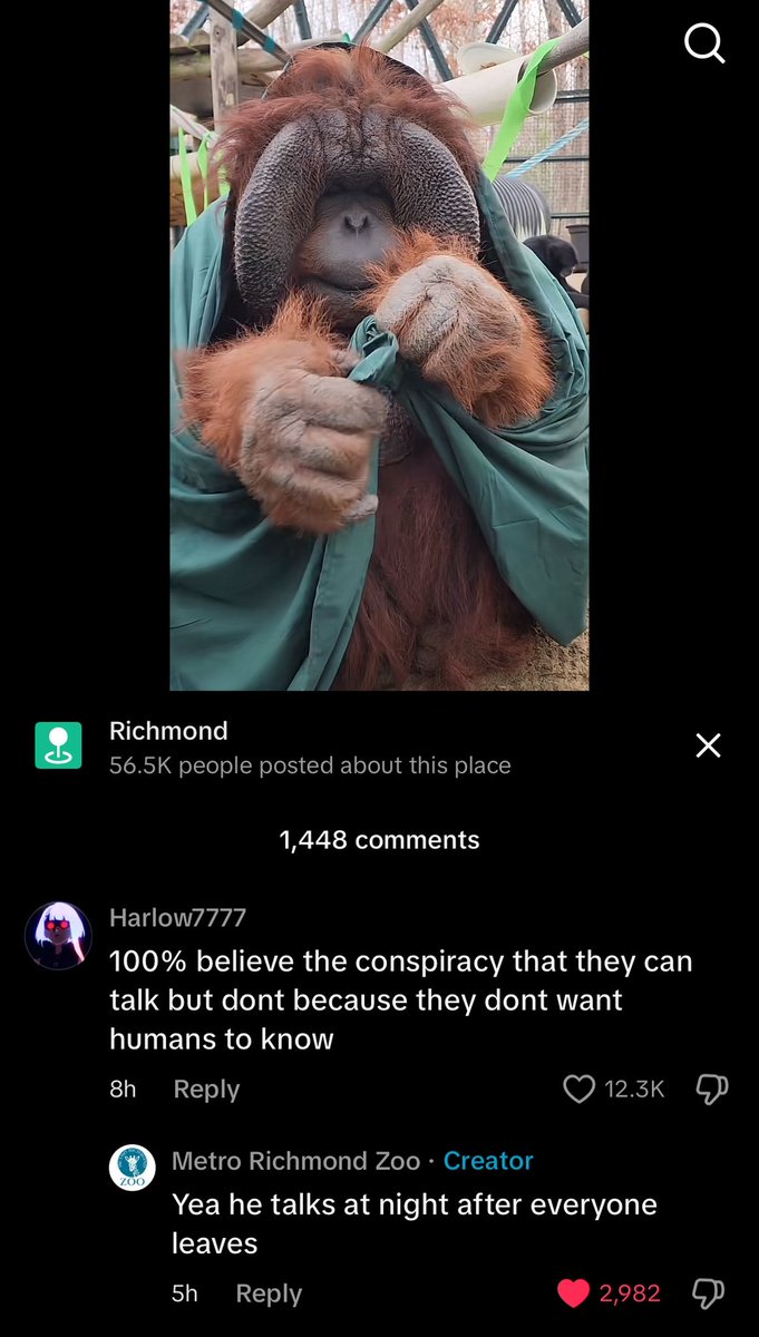 julee (@juleecel) on Twitter photo 