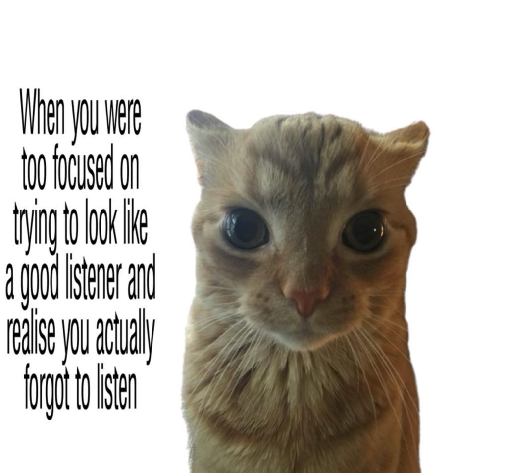 LiterallyMeCats (@literallymecats) on Twitter photo 