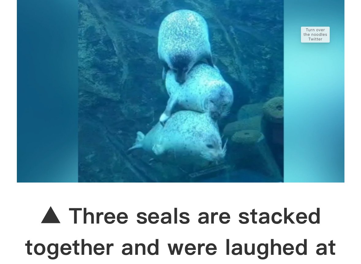 alyssa 🦭 (@mistapussy) on Twitter photo 