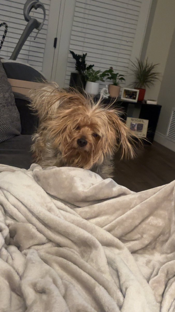 is it time yet for the love of god

(<a href="/sammwichh/">sam.</a>)