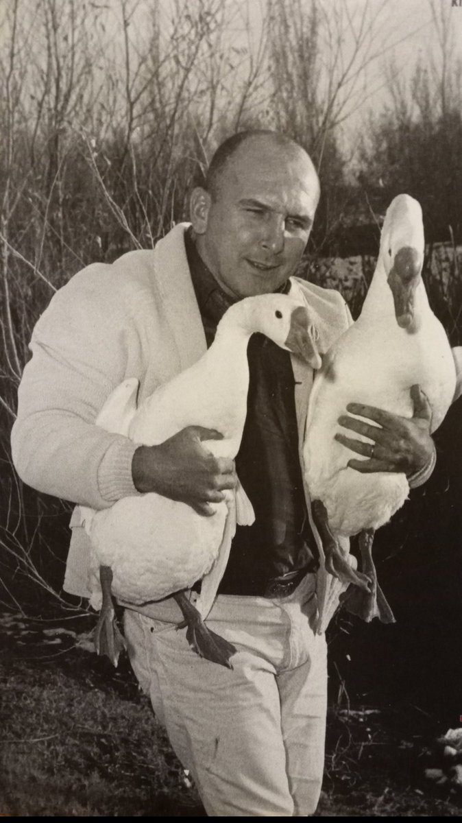 Killer Karl Kox and his emotional support geese.