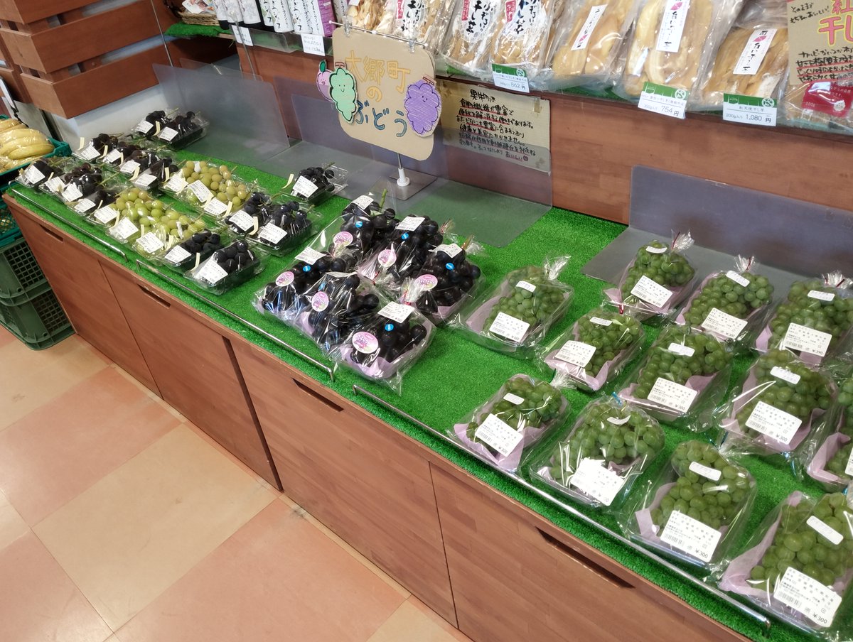 MOosato's tweet photo. まもなく最盛期！！大郷町産のぶどうは、種類もどんどん増えてきております。ぜひご利用ください。 https://t.co/0YngHyQAVj