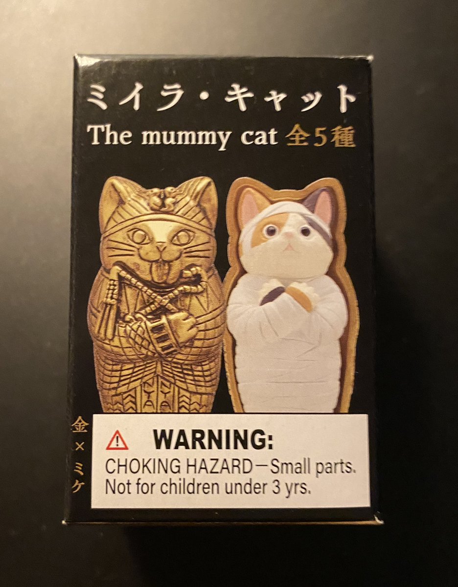 Later tonight, we will unlock the secrets of the mummy cat. 🔎🐈

Be seeing you, after midnight…