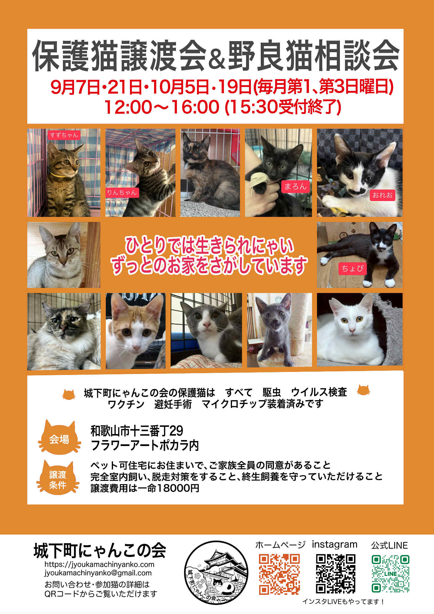 野良猫　【紙ジャケット】 Amazon.co.jp: 野良猫(紙ジャケット仕様): ミュージック