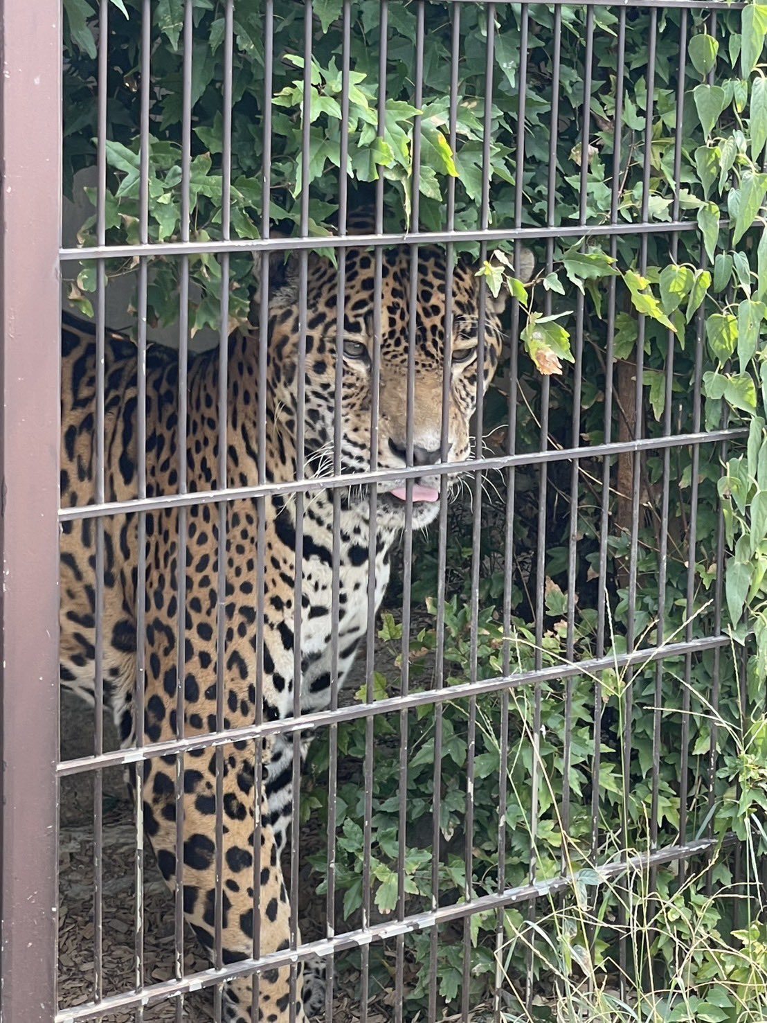 東山動物園 東山動物園 (千種区) - ツアーとアクティビティ | エクスペディア
