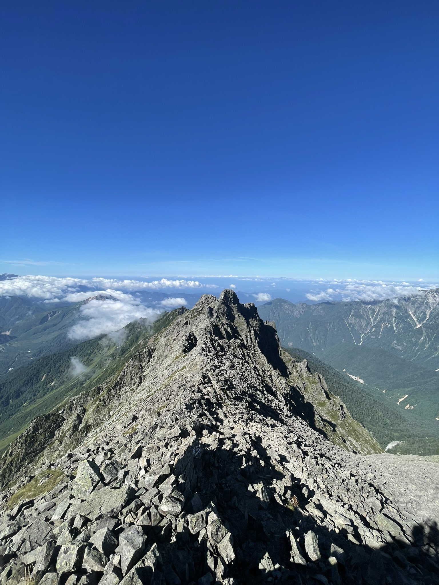 わっぺ🌱5th Peak(5期)をめざせ❗️ on X: 