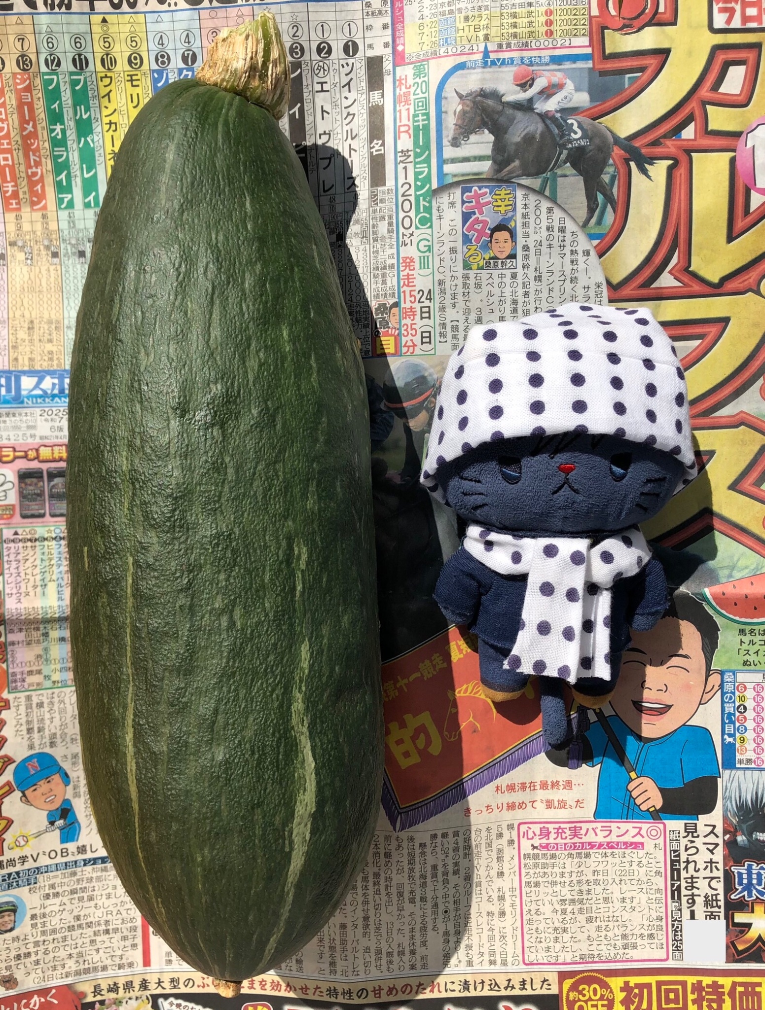 かぼちゃ様へ♥ tomo on X: 