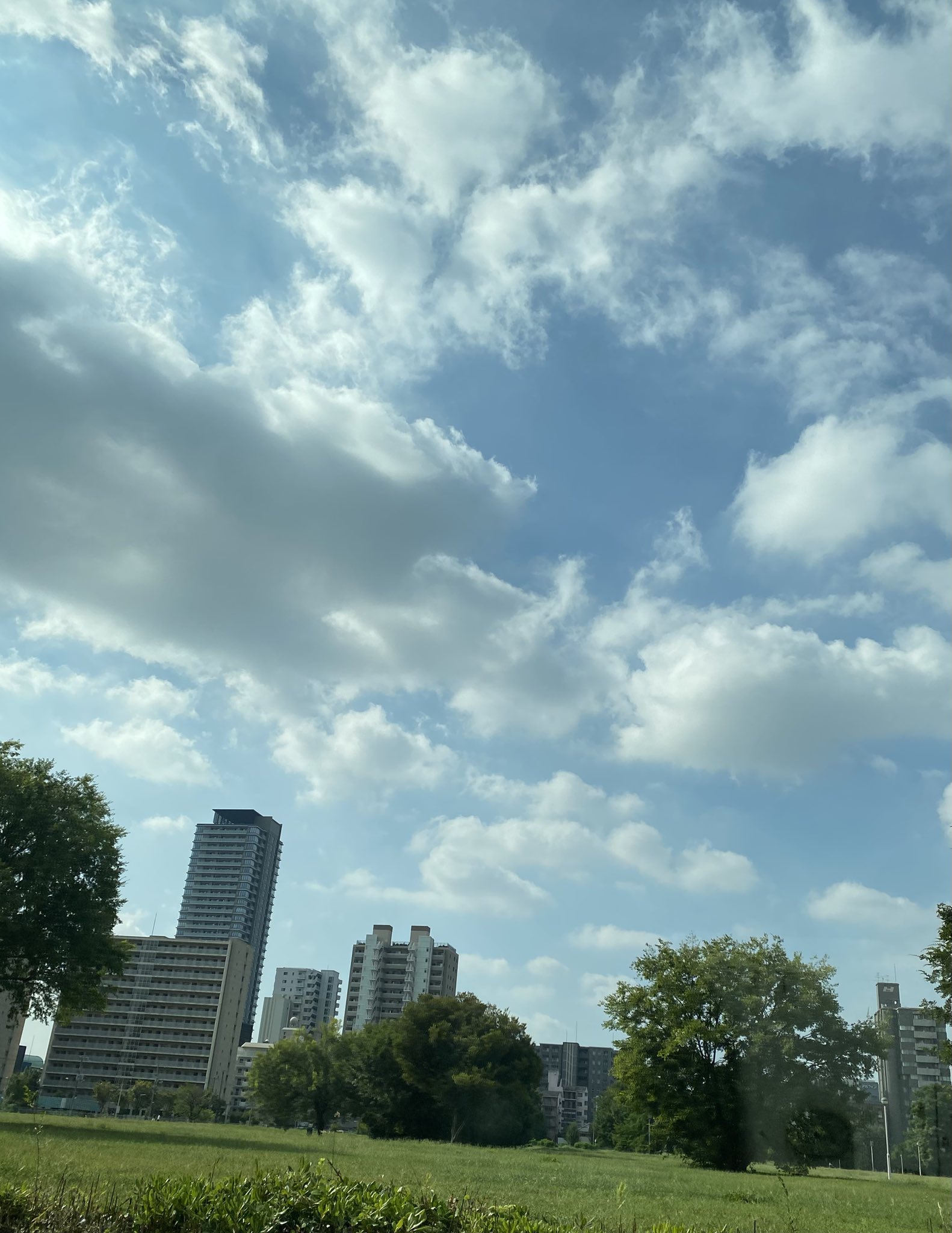 よっしい on X: 