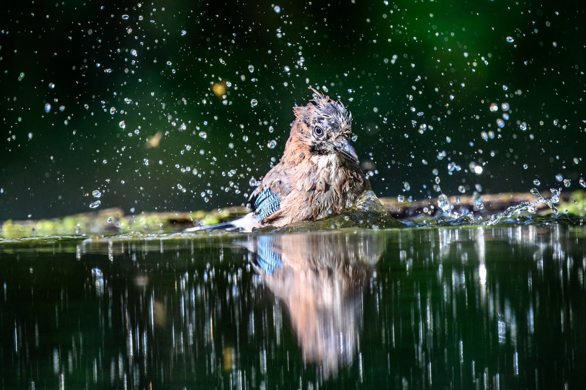 Go for it! 😊😊😊