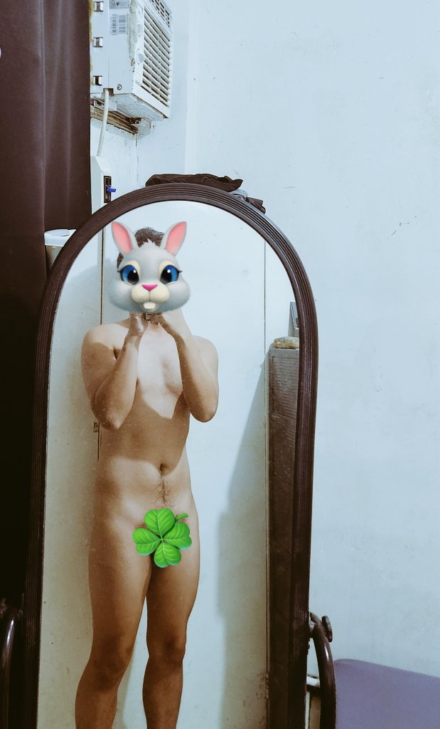 B U N N Y ⚜️ tweet media