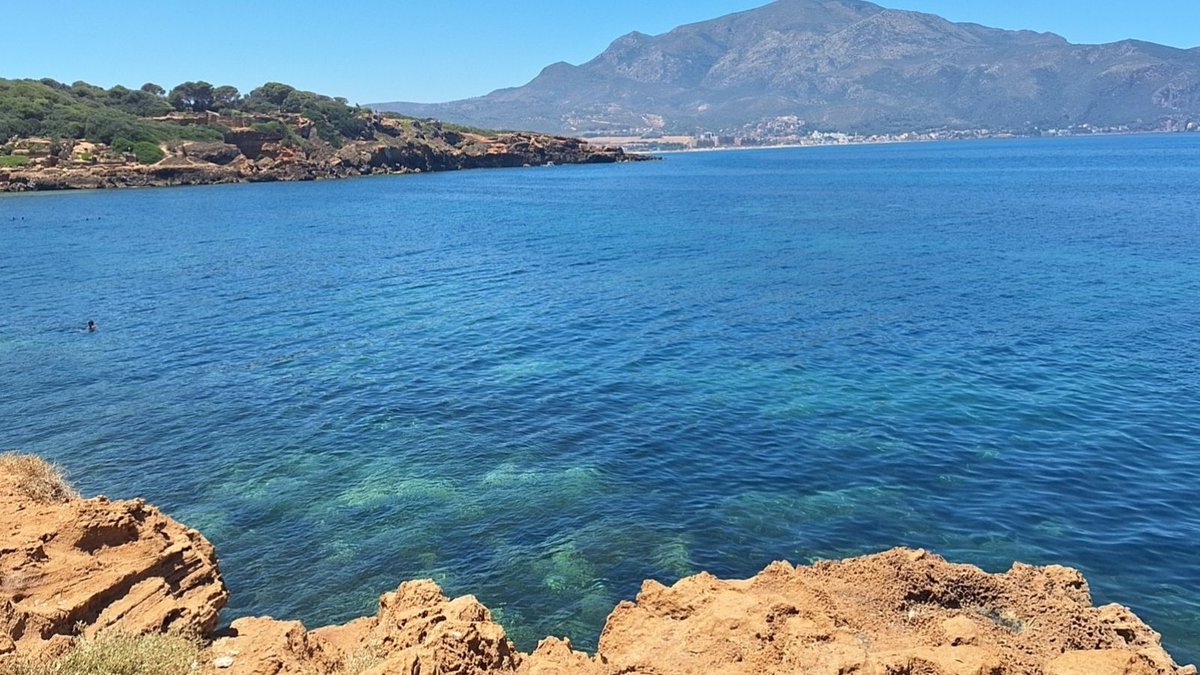 The profile:                         the content: