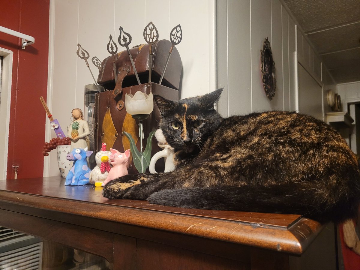 Hoff (@hoffphph) on Twitter photo 