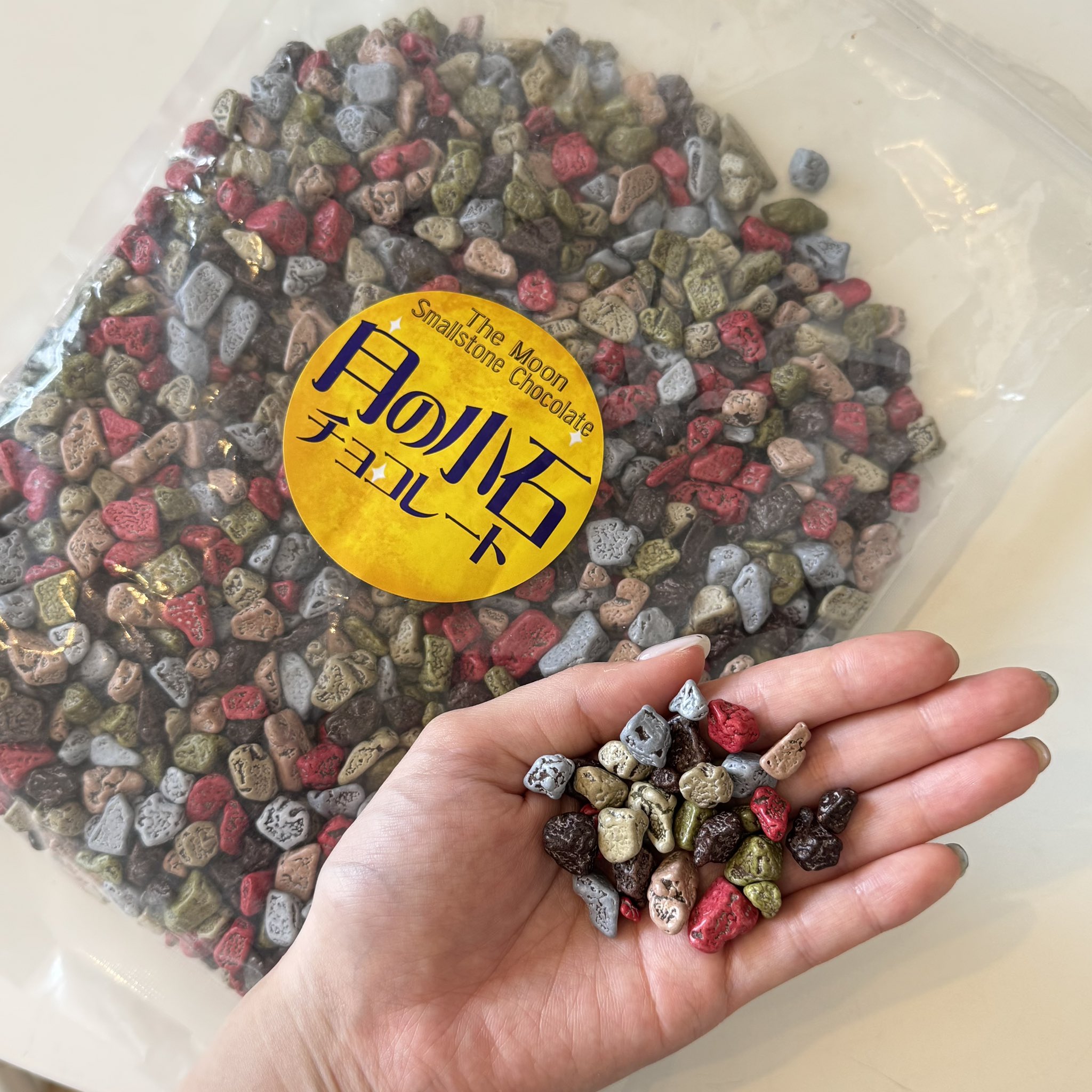 みんち🦦【#Z世代の味方】 (@minchi_pooh) / X