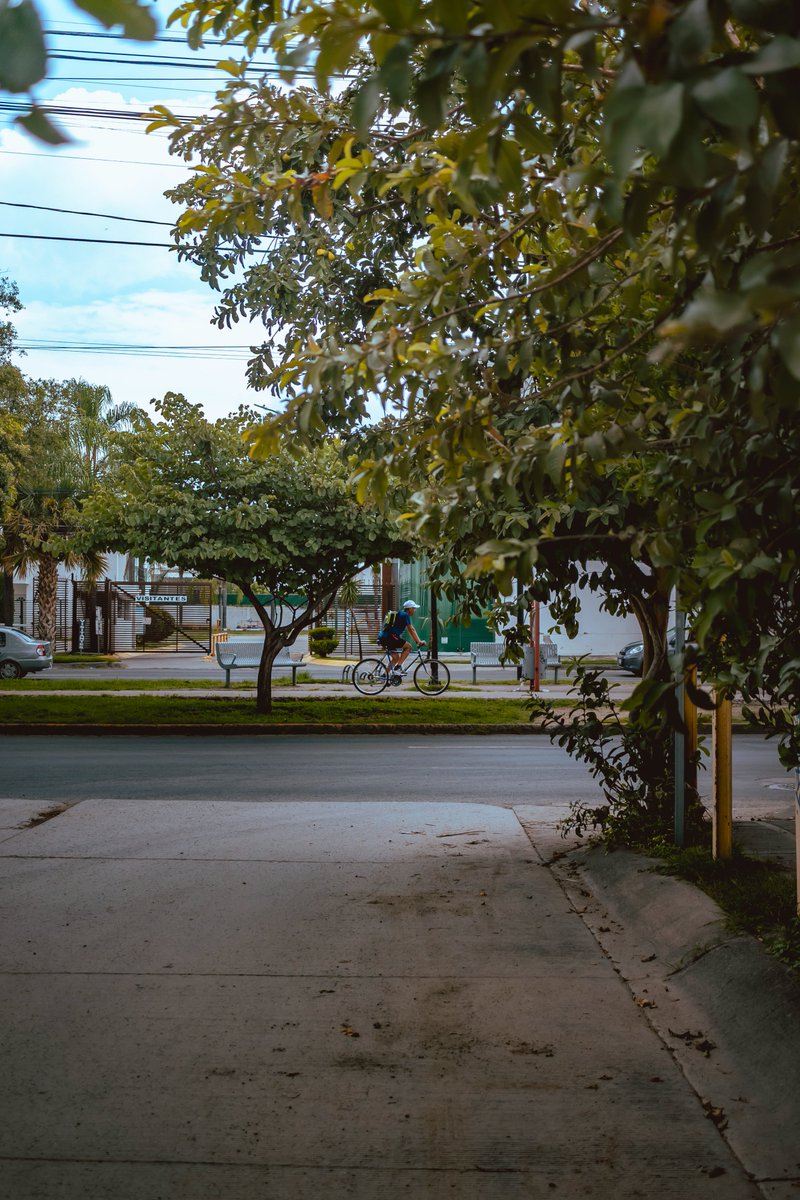 bicitografo's tweet photo. 🚴♂️ Pedalear no solo fortalece el cuerpo, también despeja la mente. Cada rodada es una dosis de bienestar sin receta, una terapia que se toma al aire libre y se disfruta con cada respiro. 🌿💪😌
#BikePortraits #CyclingLifestyle #UrbanCycling #StreetCyclist #WellnessJourney # https://t.co/1To0oH9KJ5