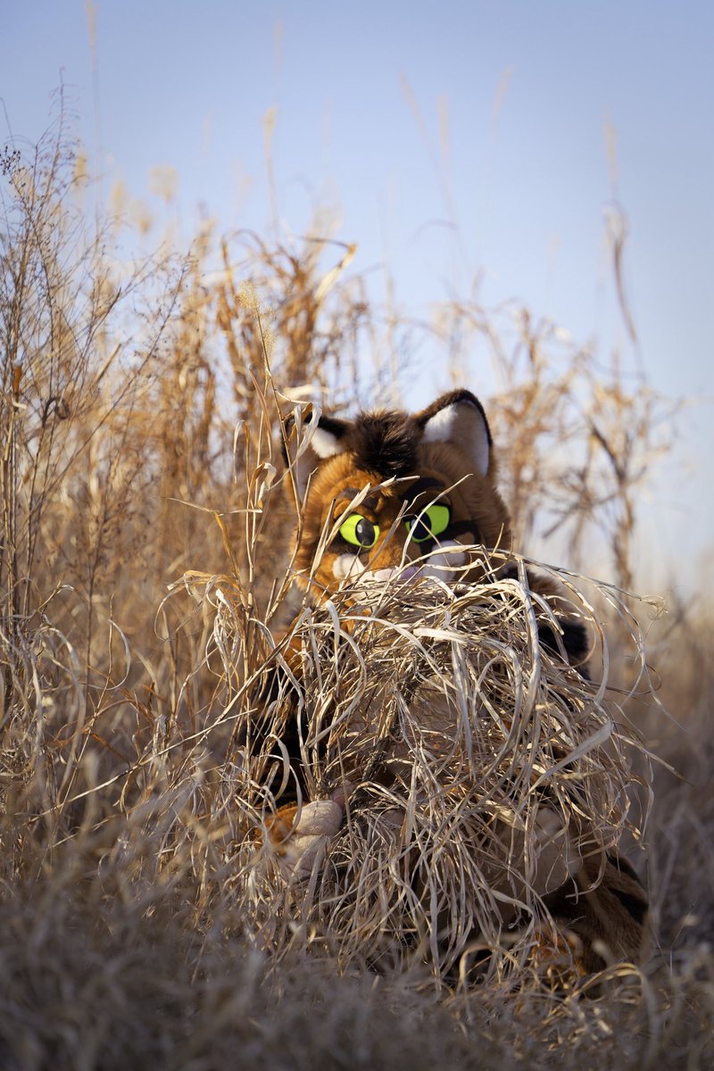 I’m always watching