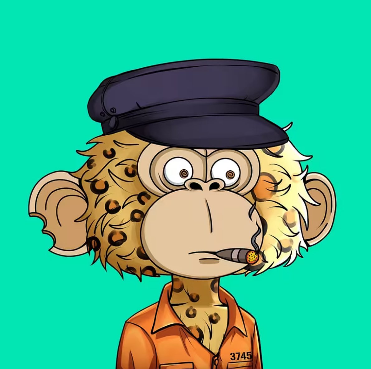 Bella230644's tweet photo. Jimmy is the future…

#jimmy
#jimmyisape
#apeisjimmy
#ape
#apecoin 
#jimmyisthecatalyst https://t.co/WcT5ffefkC