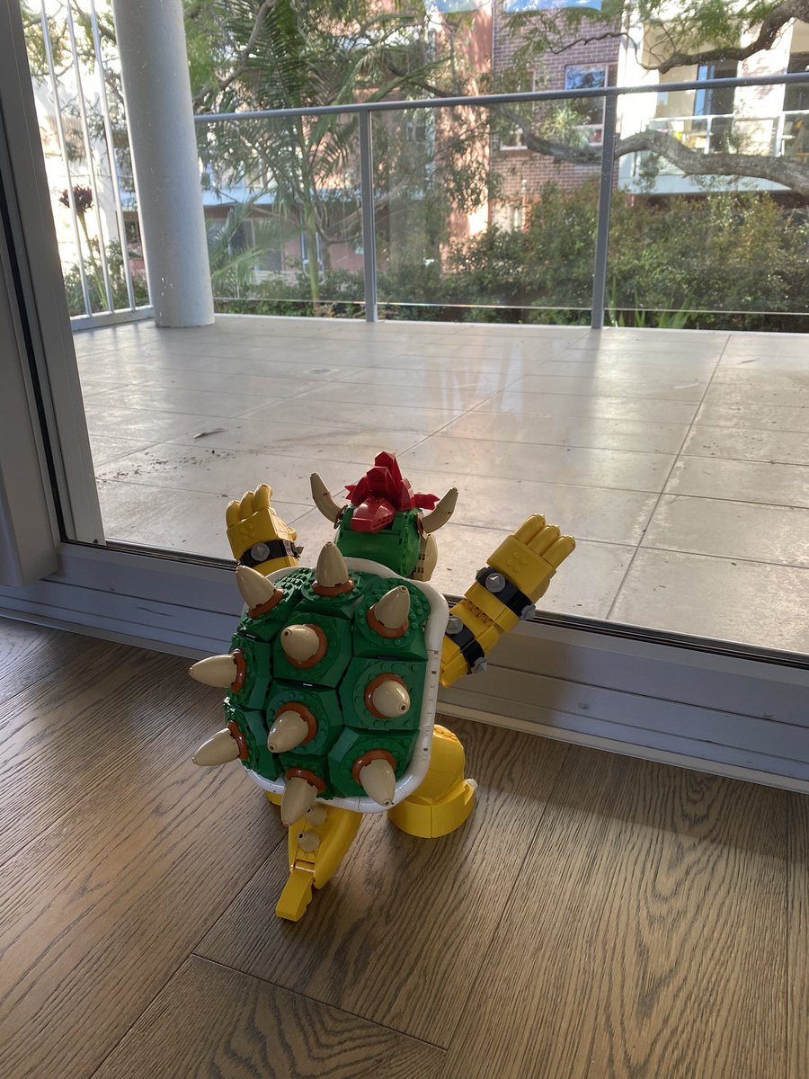 fed a cockatoo ONCE and now every day he comes and knocks on our balcony door. this has been the only successful deterrent.