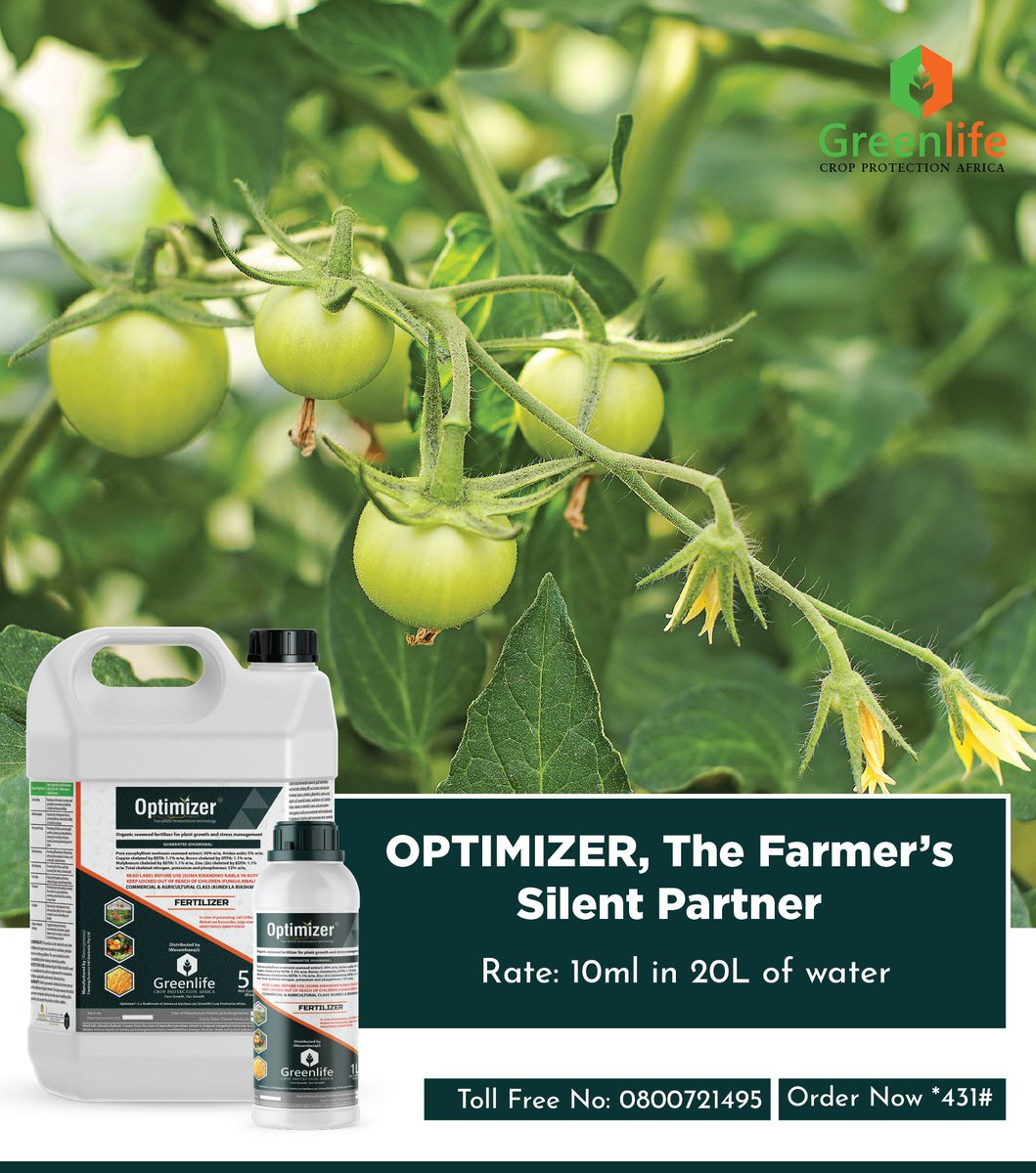 Every season, some farmers watch their yields stagnate while others celebrate bumper harvests. The difference? Choices. Optimizer turns ordinary soils into powerhouses, unlocking nutrients, driving stronger roots, and helping crops stand tall against stress. Your harvest doesn’t