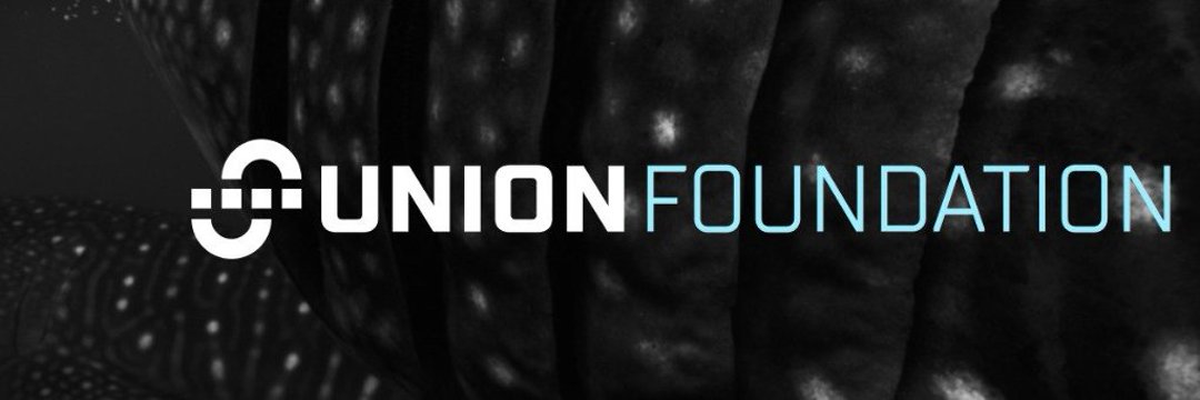 .<a href="/union_build/">Union</a> Checker is Live!!!

Check your Token Allo here: app.union.build/udrop