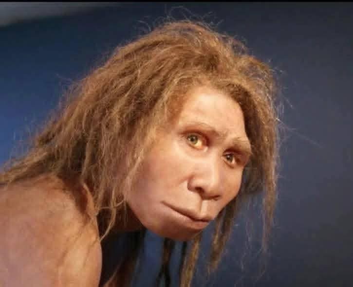 Mujeres color piloncillo y primaria trunca: el Aldo es el más guapo de toda la casa 

El más guapo de toda la casa:

#LaCasaDeLosFamososMx
#LCDLFMX3