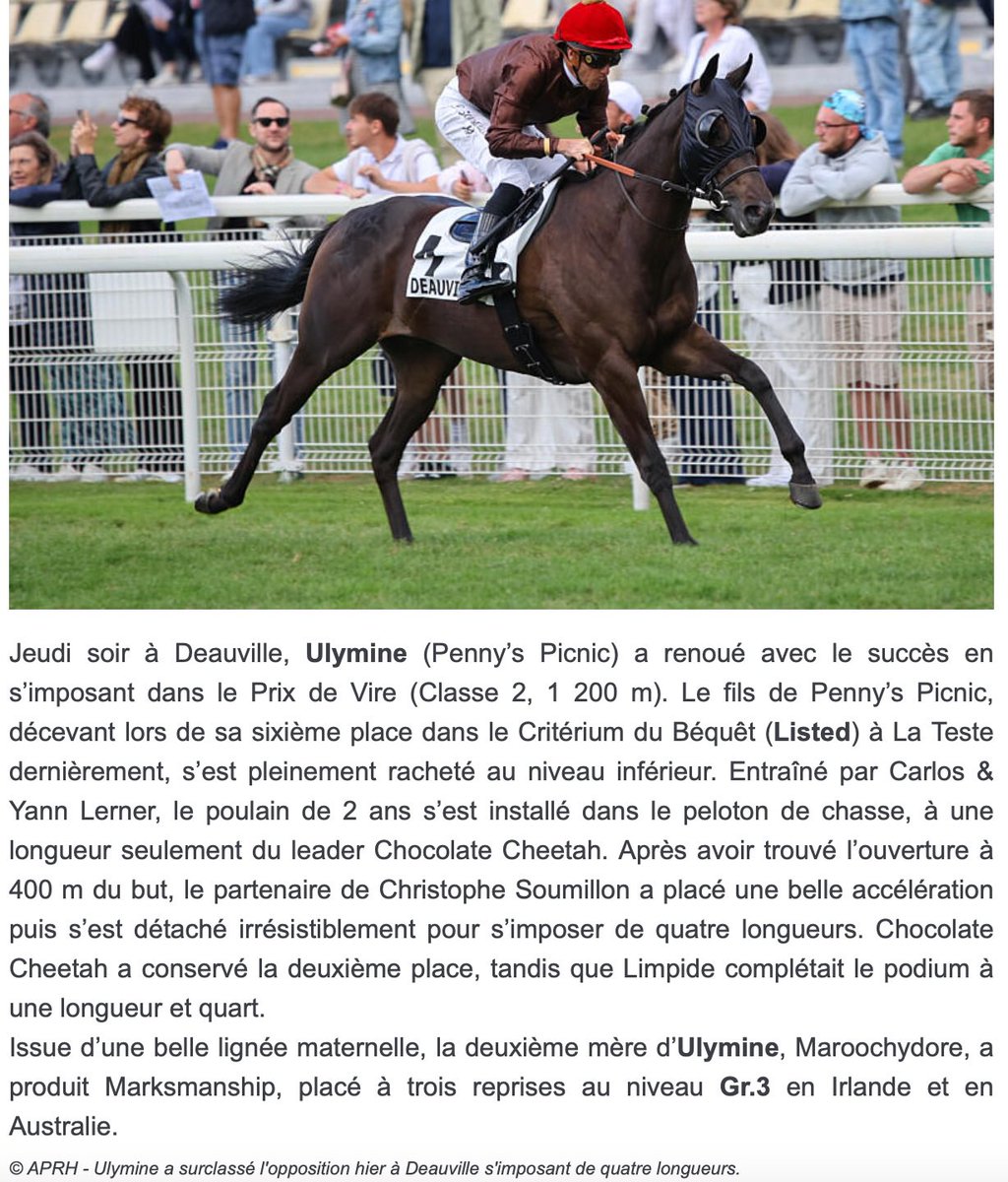 ULYMINE 🐎by #PennysPicnic
Congrats to all connections
<a href="/harasduhoguenet/">Haras du Hoguenet</a>