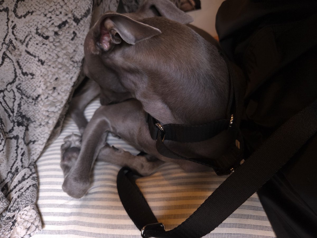 우리파이 tweet media