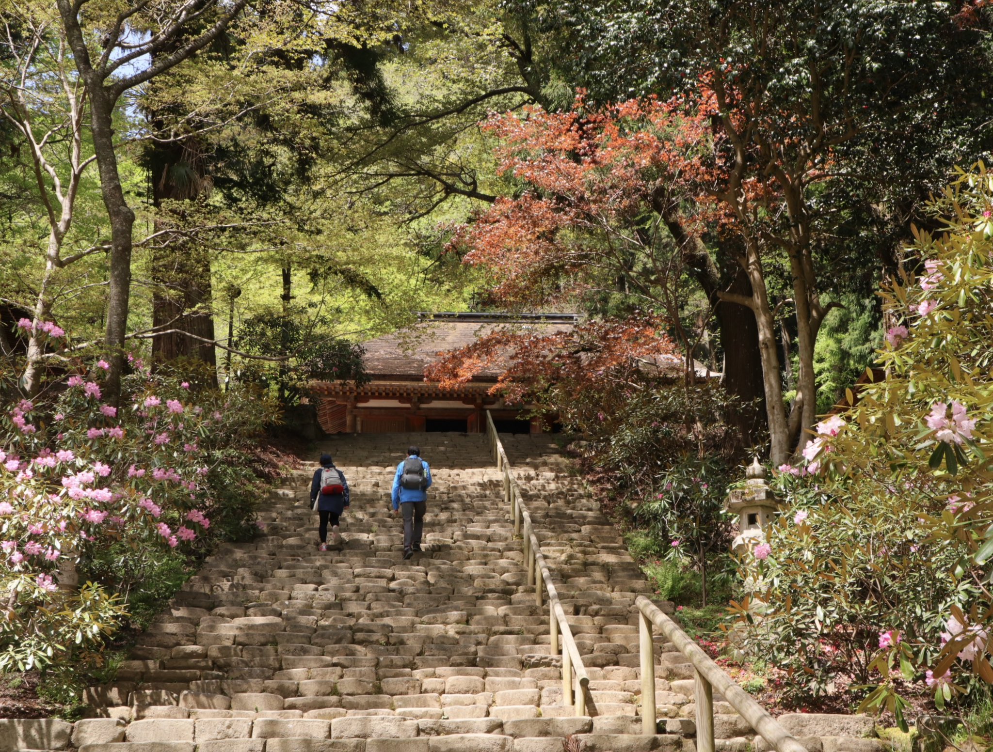 広辞苑 原谷苑 | Kyoto-shi Kyoto