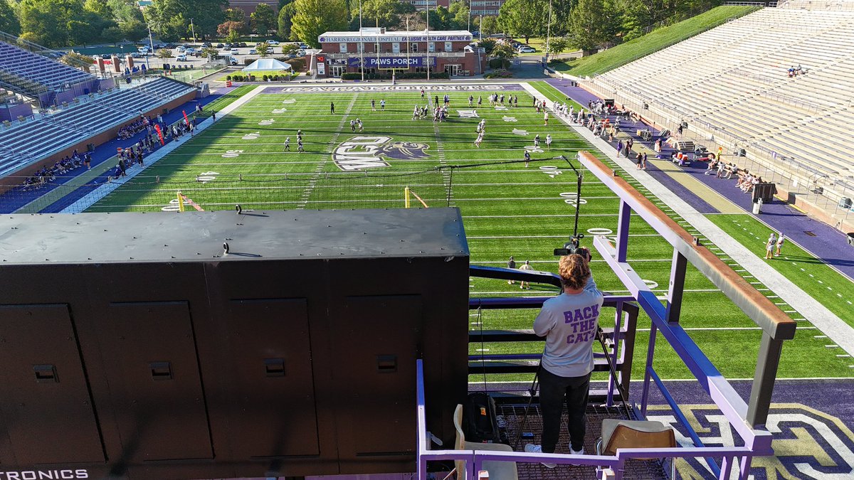 1 day. BACK THE CATS. #LOTE