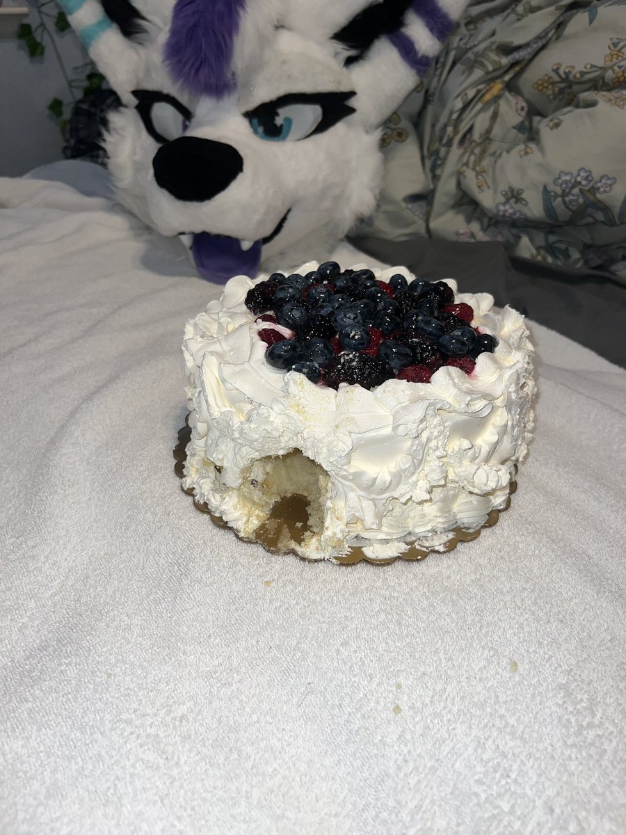 LuckythesamoyedAD tweet media