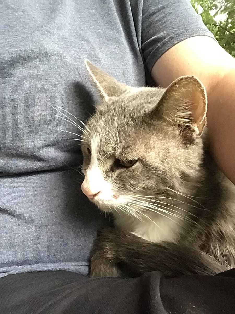 || My best friend forever 💜