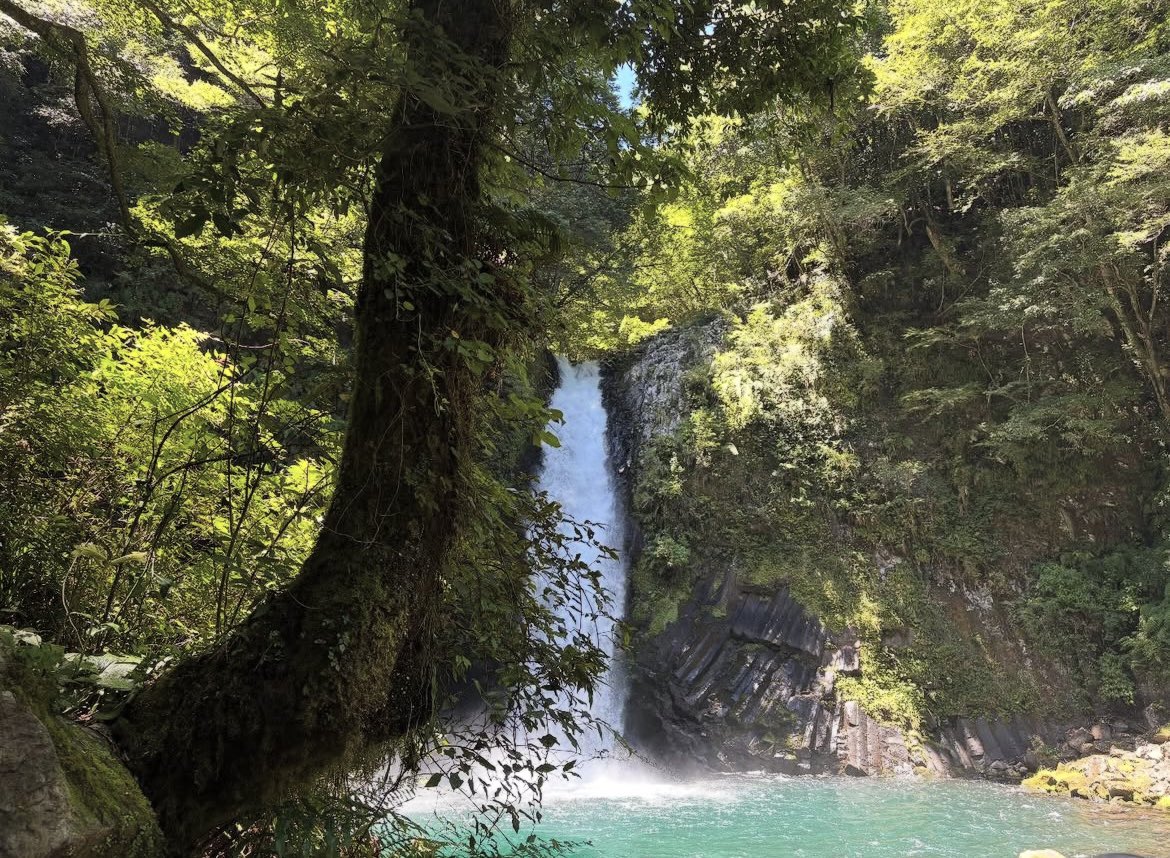 自然を感じてきた🤍
空気がいいねー🫶