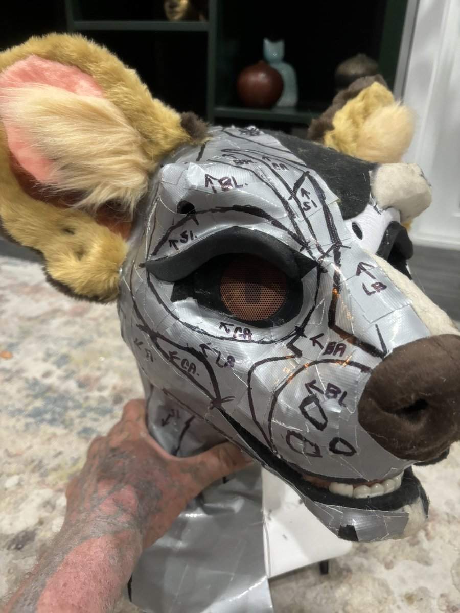 Funky lil’ fossa coming together