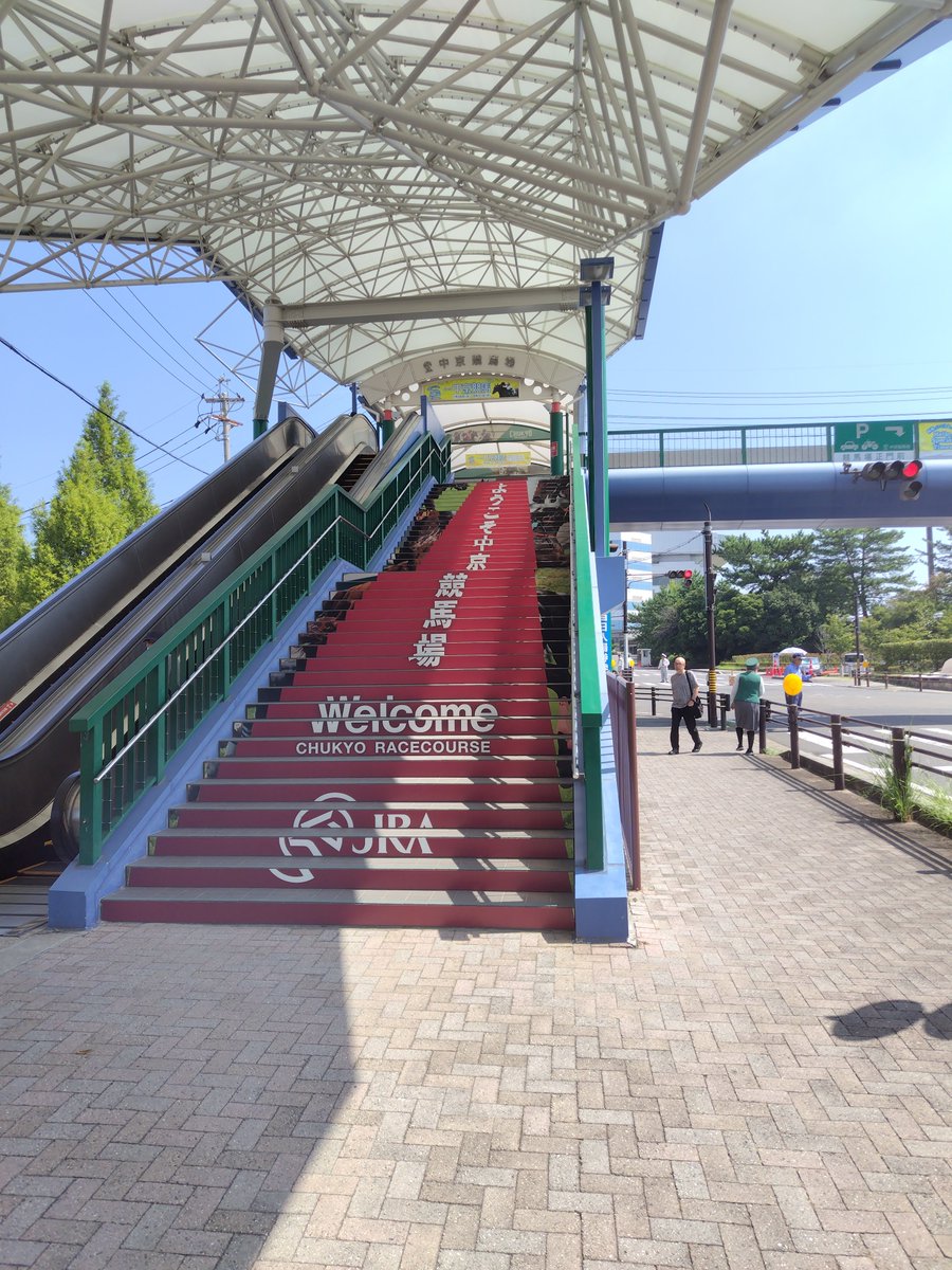 天気が良いのでお散歩