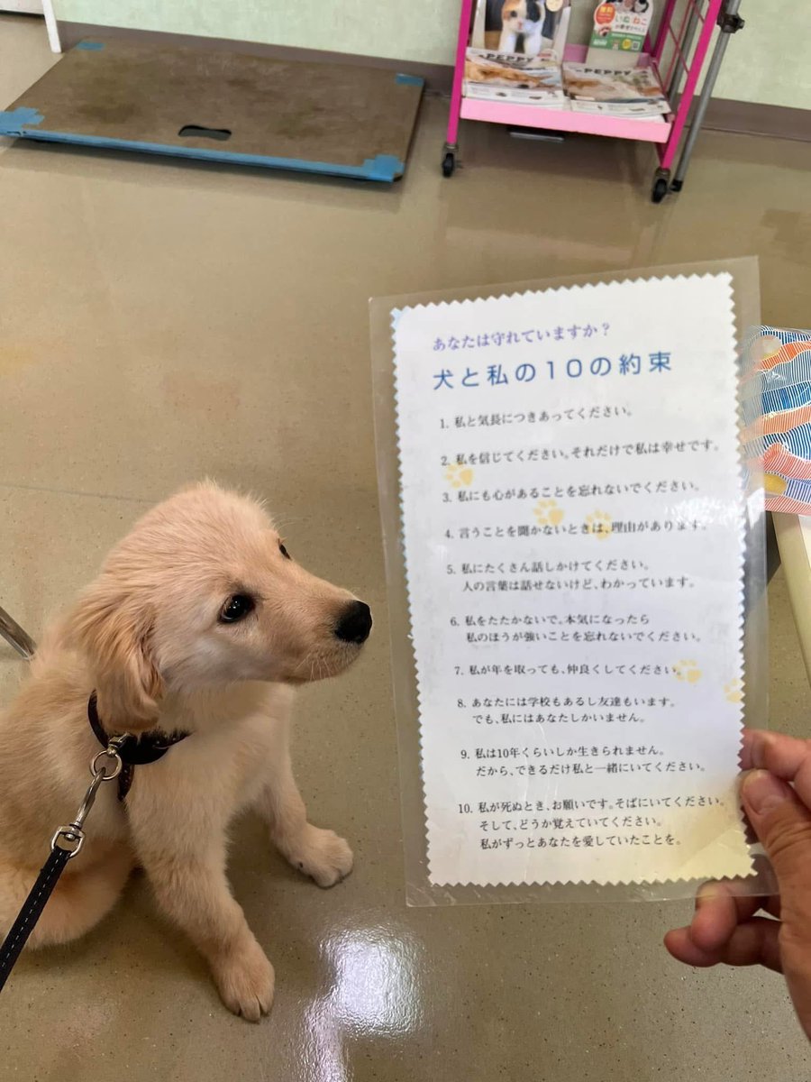 これ一年前らしい☺️

もう少ししたらクーラー効いた部屋から出て外飲みしなきゃならん
暑いだろうなぁ、、、🥲