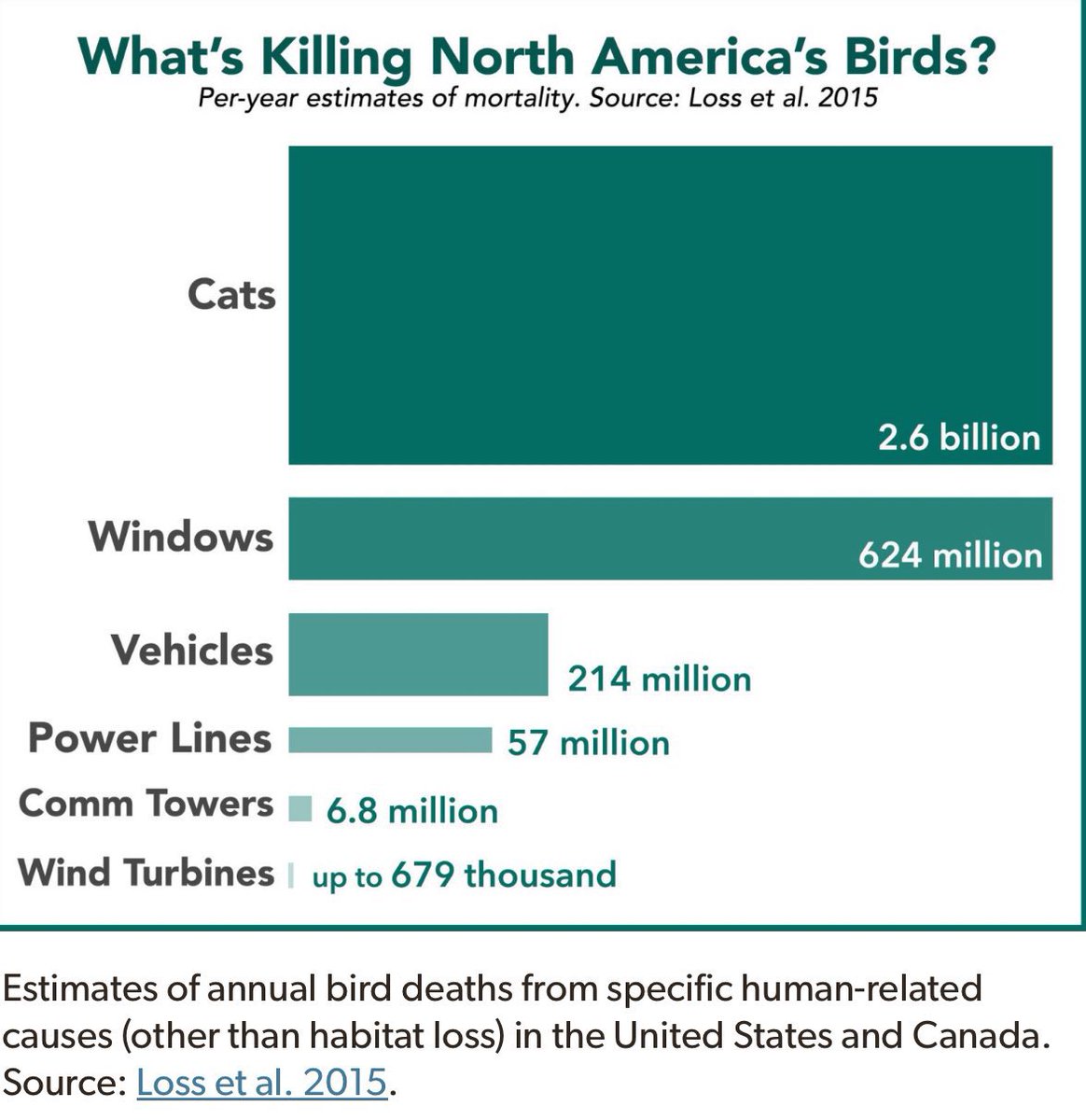 Without people, there would be no cats, windows, cars, power lines, turbines—they exist because of us. HUMANS are killing North America’s birds.
