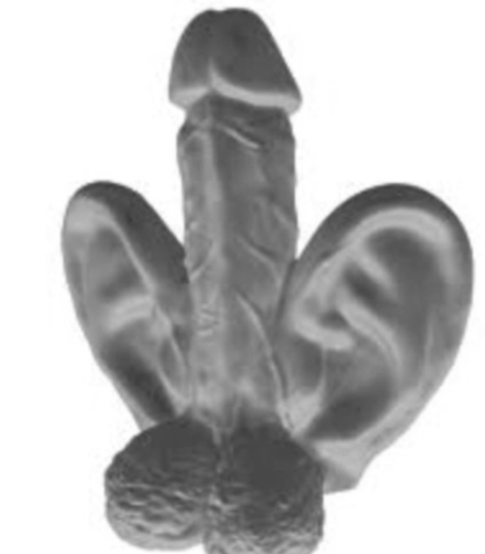 PieterszoonHaas's tweet image. Tja, wat verwacht je van een lul met giga oren.