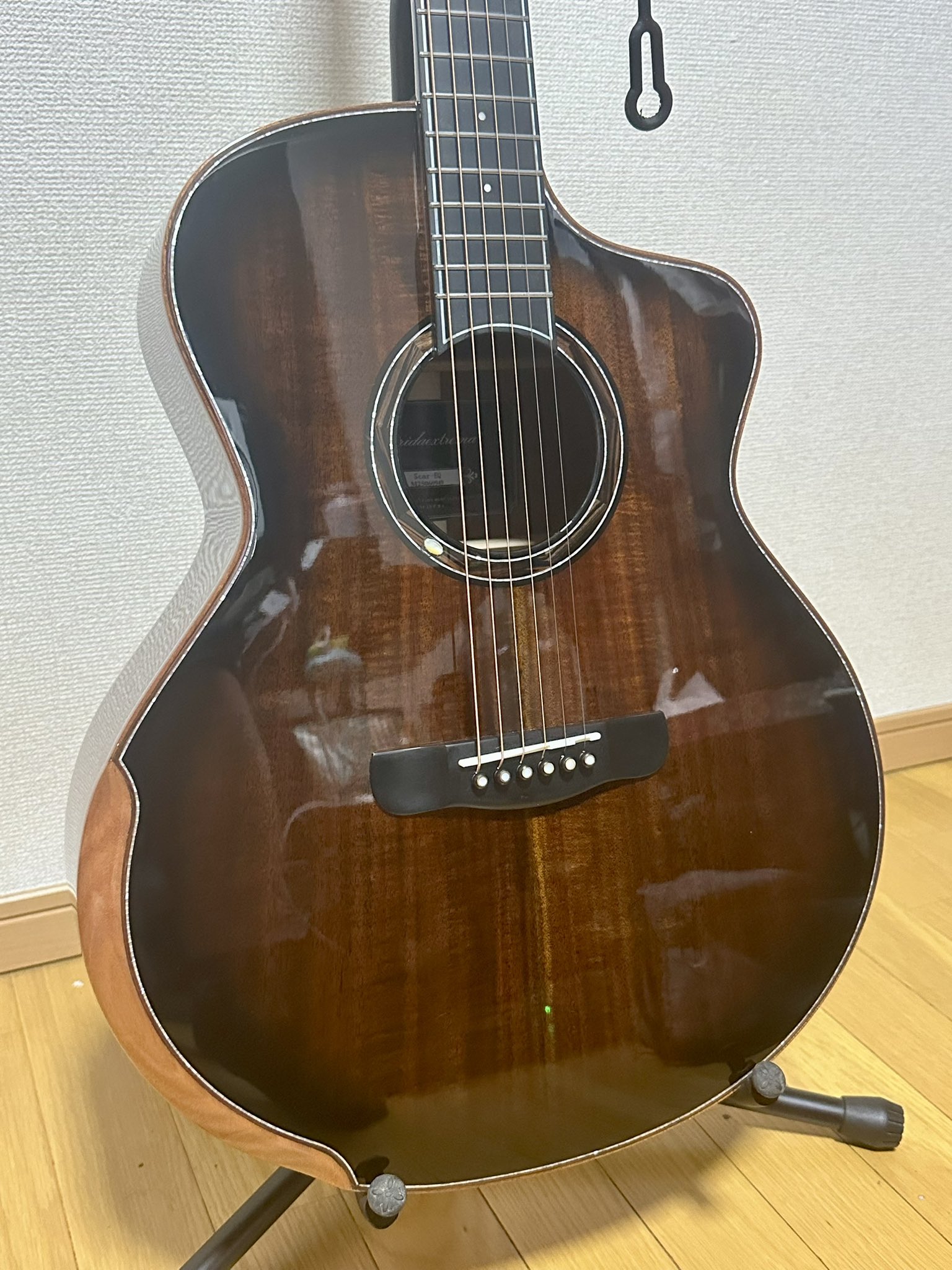 メリダギター - Search / X