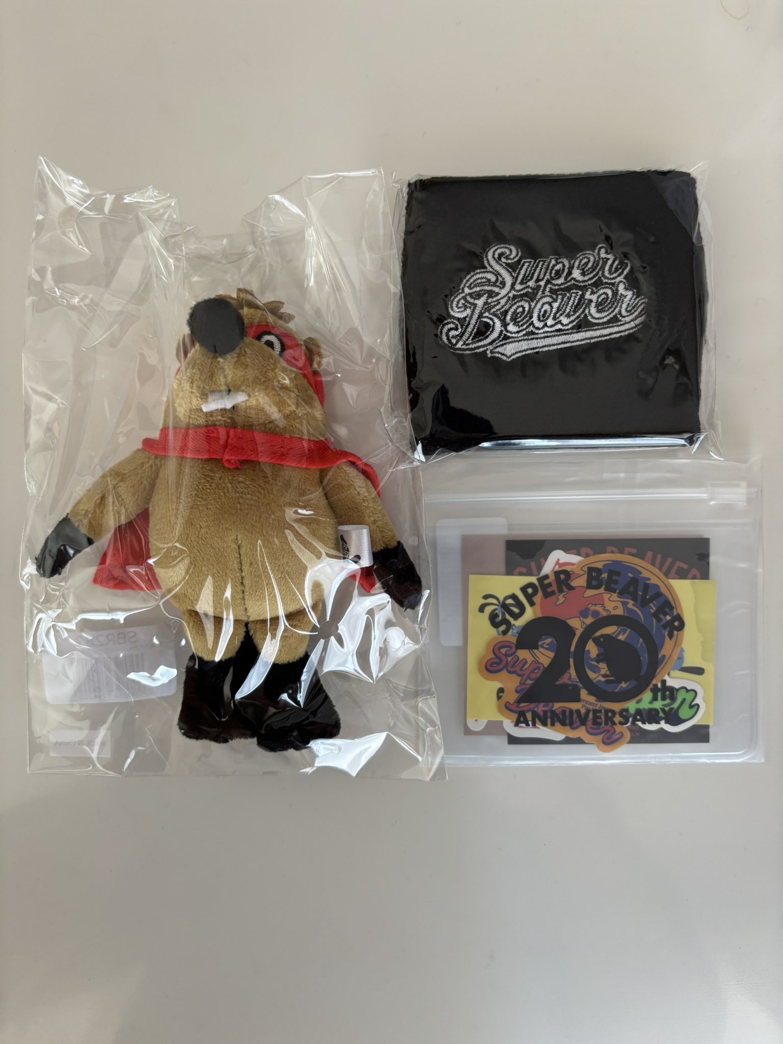 SUPER BEAVER グッズ セット ボックス GXG05B0bEAUqZ4p.jpg